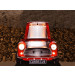 category Carbecue | Mini Cooper 504106-01